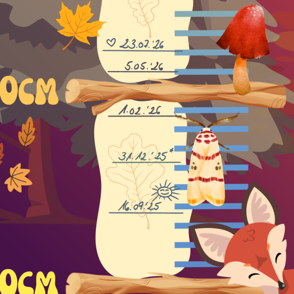 Affiche de croissance pour enfants, motif amis de la forêt, avec points de mesure manuscrits - Crealumi